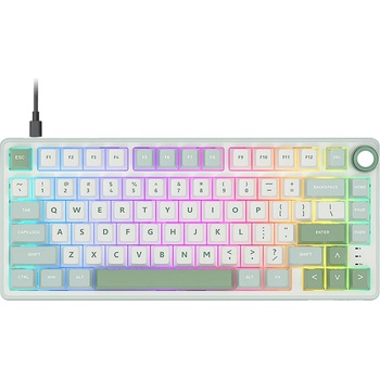 Royal Kludge RK-R75-SKYCYN-KSLVSW-US