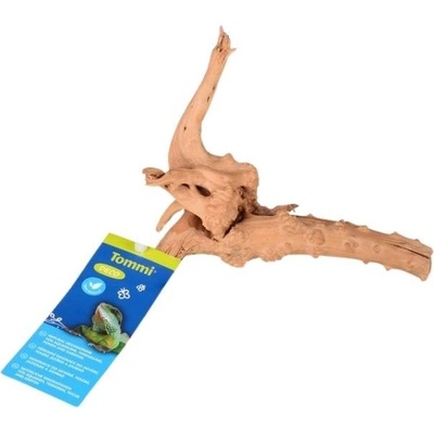 Tommi Azalea Root XS 10-20 cm