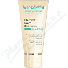 Dr. med. Christine Schrammek Regulating Blemish Balm Dark Brown 40 ml