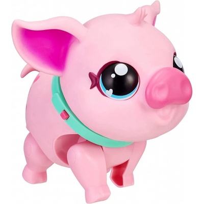 Little Live Pets prasátko PIGGLY