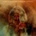 SAYCE PHILIP: STEAMROLLER CD
