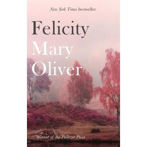 Felicity (ISBN: 9781472153739)