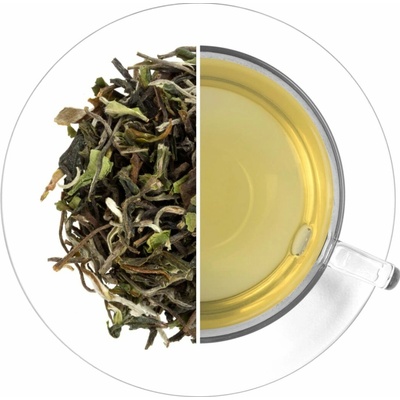 Oxalis India Darjeeling North Tukvar SFTGFOP1 50 g
