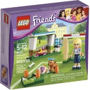 LEGO® Friends 41011 Stephanie trénuje fotbal