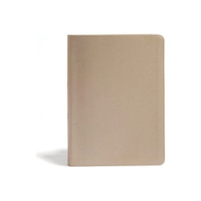 CSB She Reads Truth Bible, Champagne Gold Leathertouch, Indexed: Notetaking Space, Devotionals, Reading Plans, Easy-To-Read Font | Csb Bibles By Holman, Raechel Myers, Amanda Bible Williams