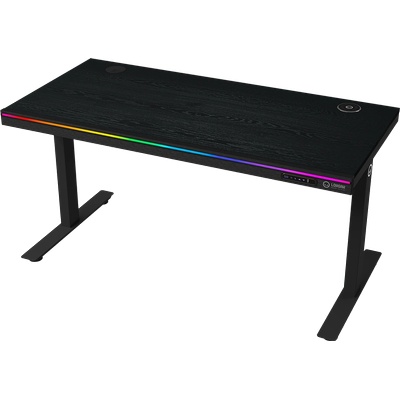 LORGAR Dual-motor sit/stand adjustable-height gaming desk with wireless charger, RGB lighting, control panel, and USB ports, PB melamine surface tabletop, black (LRG-DP80W)