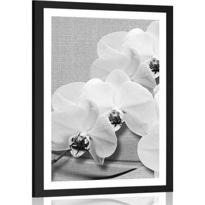 Plakát s paspartou orchidej na plátně v černobílém provedení - 40x60 silver