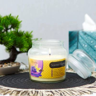 Vog und Arths vanilka a fialka 310 g