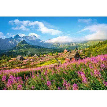 Image 1 of Castorland - Puzzle Hall Gąsienicowa, Tatra, Poland - 1 000 piese