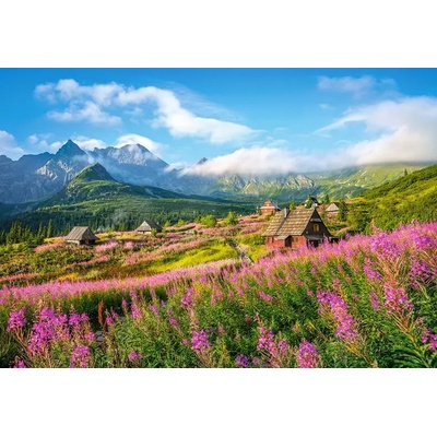 Castorland - Puzzle Hall Gąsienicowa, Tatra, Poland - 1 000 piese