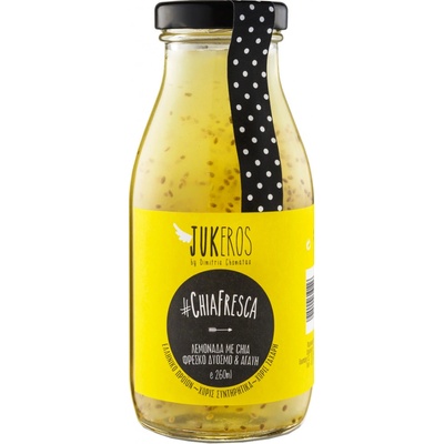 Jukeros Domácí mátová limonáda s chia semínky bez cukru 250 ml