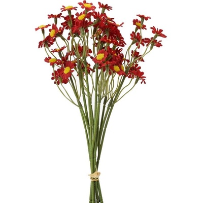 KYTIČKA TANACETUM ČERVENÉ 27CM