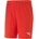 PUMA Team goal 23 knit shorts m