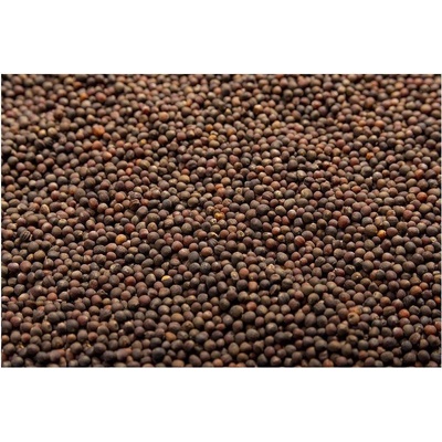 Microgreens Červené zelí na microgreens 50 g