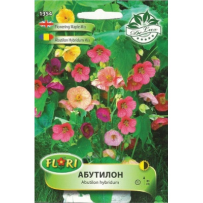 Флориан Абутилон (Стаен клен) микс Abutilon hybridum mix