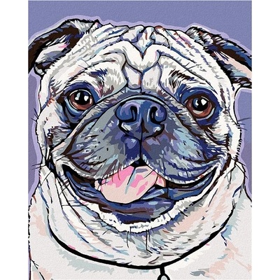 zuty Malování podle čísel Mopsík 80 x 100 cm vypnuté plátno na rám