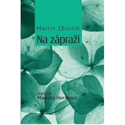 Na zápraží - Martin Zborník