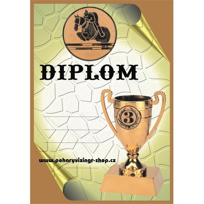 VIZINGR Skoky diplom A4 č.25