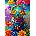 Enjoy - Puzzle Fantasmagoria - 1 000 piese