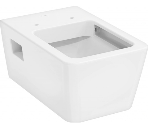 Hansgrohe 62018450
