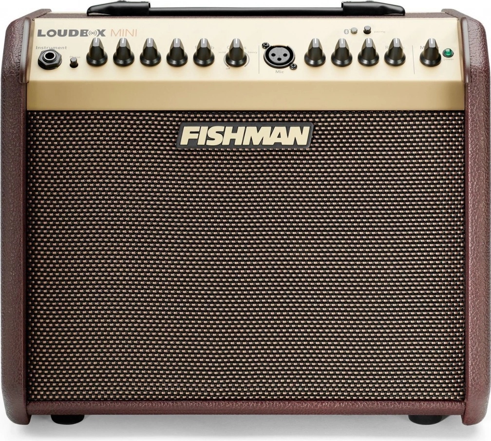 Fishman LOUDBOX MINI