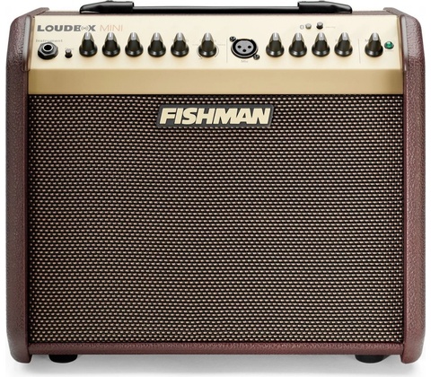 Fishman LOUDBOX MINI