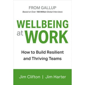 Wellbeing At Work | JIM CLIFTON (ISBN: 9781595622419)