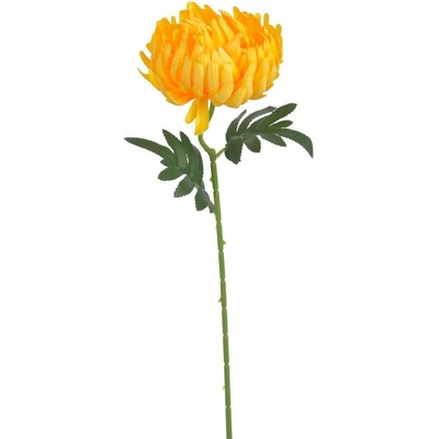 Chryzantéma 50 cm - žlutá