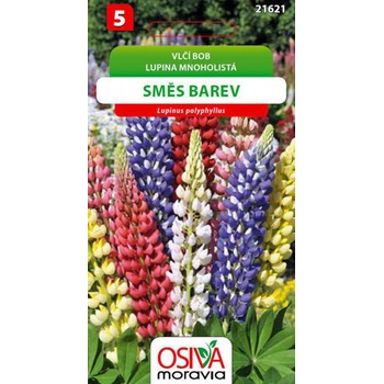 Semínka Vlčí bob směs barev (Lupinus polyphyllus)