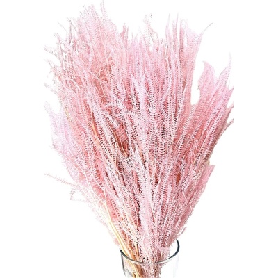 Stabilizovaná kapradina světle růžová svazek 60-80cm 50g