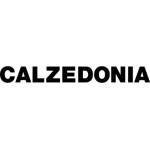 Calzedonia Подаръчна карта 100 EUR (Франция)