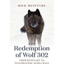 The Redemption of Wolf 302: From Renegade to Yellowstone Alpha Male McIntyre Rick