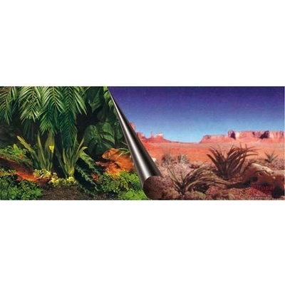 Europet Bernina Photo Decor Jungle + Dessert 60 x 30 cm