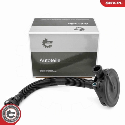 Ventil, odvětrání klikové skříně ESEN SKV 31SKV410 – Zboží Mobilmania