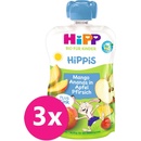 HiPP BIO Jablko Broskev Mango Ananas + zinek od uk. 1. roku 6 x 100 g