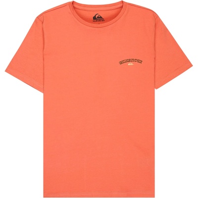 Quiksilver Детска тениска Quiksilver Kid's Urban Nomad 1 T-shirt - Desert Sand - размер 12 (US) (704-6121-0213)