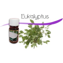 Slow-Natur Essential vonný olej Eukalyptus 10 ml