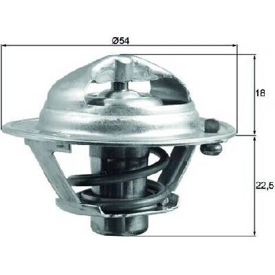 Termostat, chladivo MAHLE TX 166 90D