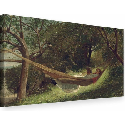 Obraz na plátne Winslow Homer - Dievča v hojdacej sieti - 60x90 cm