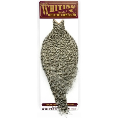 Whiting Hackles Whiting Kohoutí Skalp Coq de Leon Rooster Cape Grizzly