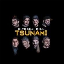 DIVOKEJ BILL TSUNAMI LP