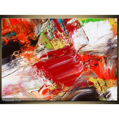 Moderní obraz F000088F7050 (Jednodílný 70x50 cm)