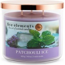 Five Elements Patchouli Ice 420 g