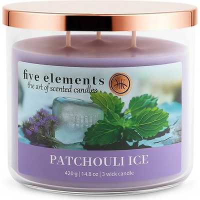 Five Elements Patchouli Ice 420 g