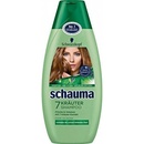 Schauma 7 Bylín šampón na normálne a mastné vlasy 250 ml