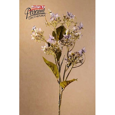 DIVOKÁ HORTENZIA MODRÁ 62 cm