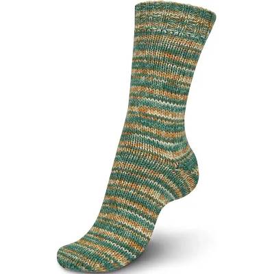 Regia 6-ply Whisper Horizon Color 6055
