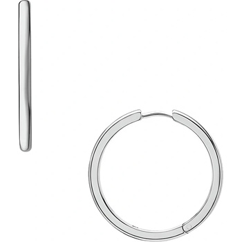 Fossil jf04743040 (jf04743040)