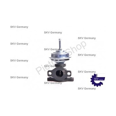 SKV EGR Ventil AUDI A4 A6 80 Cabriolet