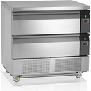 Tefcold UD2-2-P